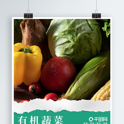 清新简约新鲜有机蔬菜农产品海报矢量图免费下载_psd格式_3543像素_编号26991509-